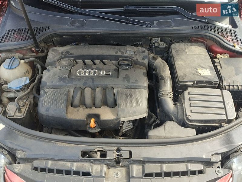 Хэтчбек Audi A3 2006 в Чернигове