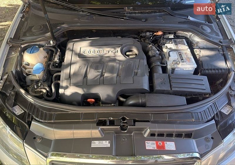 Хэтчбек Audi A3 2009 в Синельниково