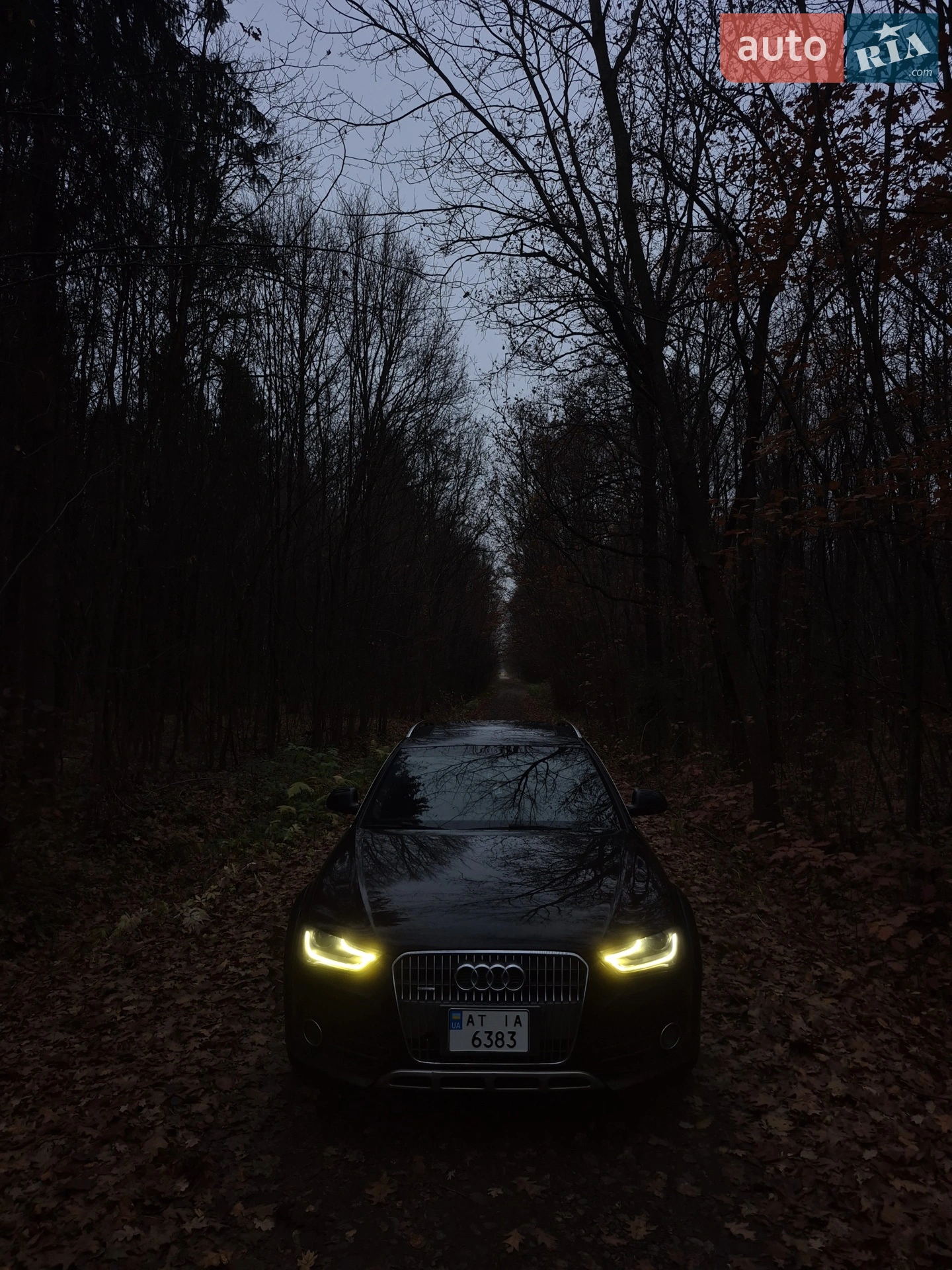 2013 Audi A4 allroad - мініатюра 2