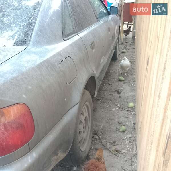 Седан Audi A4 1996 в Житомире