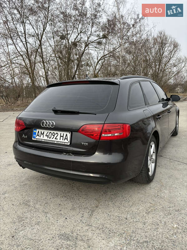 Универсал Audi A4 2014 в Звягеле