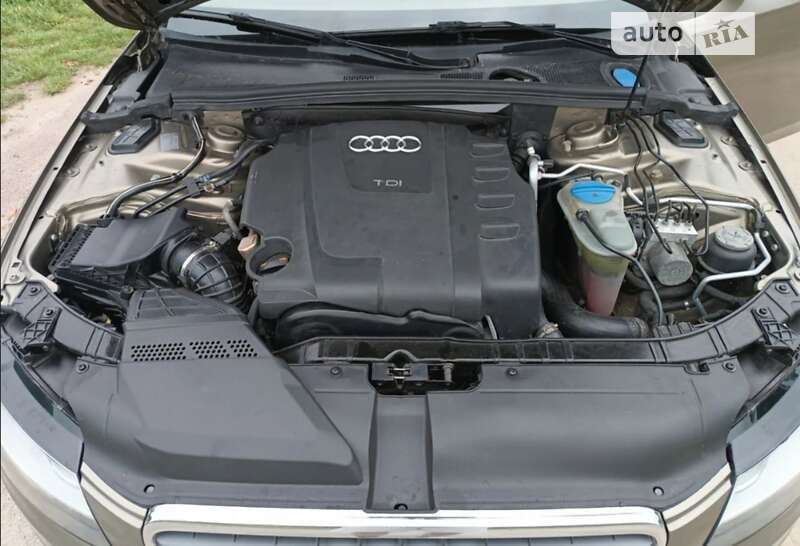 Универсал Audi A4 2009 в Хмельницком