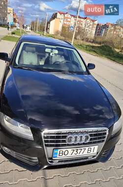 Универсал Audi A4 2010 в Чорткове