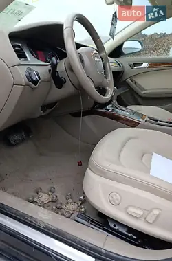Audi A4 2011