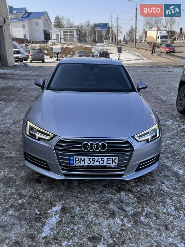 2016 Audi A4, VIN WAUBNAF48HN041417:plate — фото 1 (autoria)