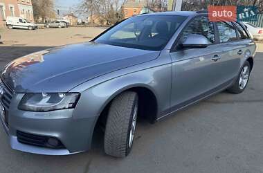 Универсал Audi A4 2008 в Крыжополе