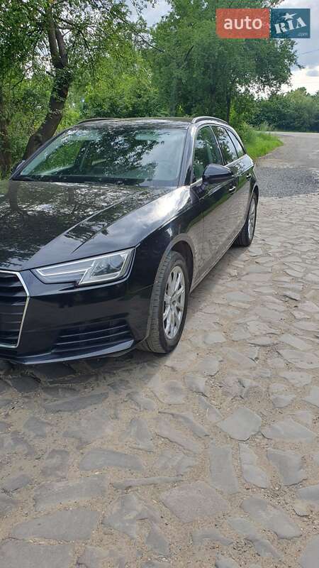 Універсал Audi A4 2016 в Береговому