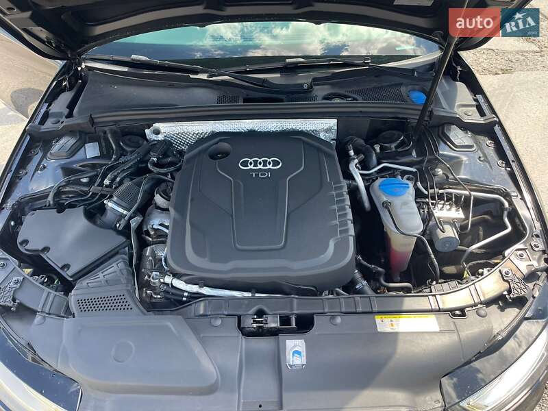 Универсал Audi A4 2015 в Ужгороде фото 28 Универсал Audi A4 2015 в Ужгороде