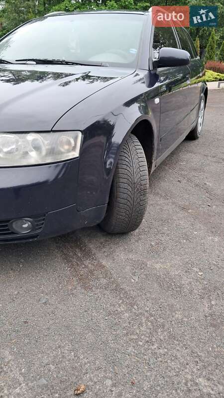 Универсал Audi A4 2003 в Любомле