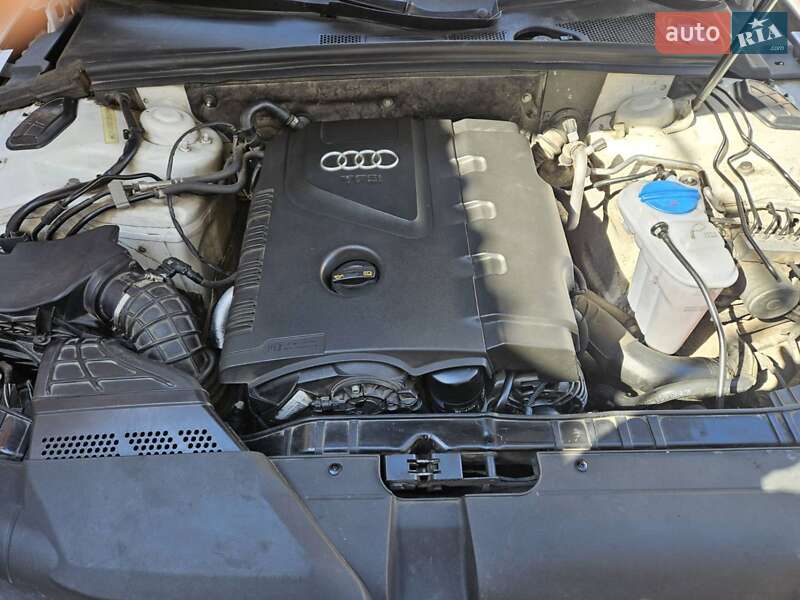 Седан Audi A4 2010 в Первомайске