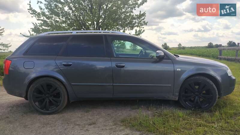 Универсал Audi A4 2002 в Рокитном фото 20 Универсал Audi A4 2002 в Рокитном