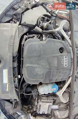 Седан Audi A4 2017 в 