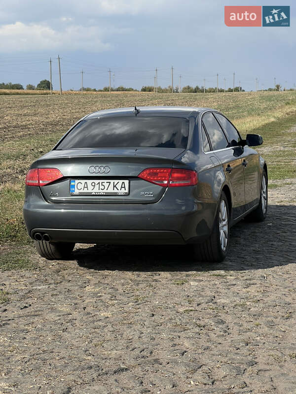 Седан Audi A4 2010 в Чернобае фото 9 Седан Audi A4 2010 в Чернобае