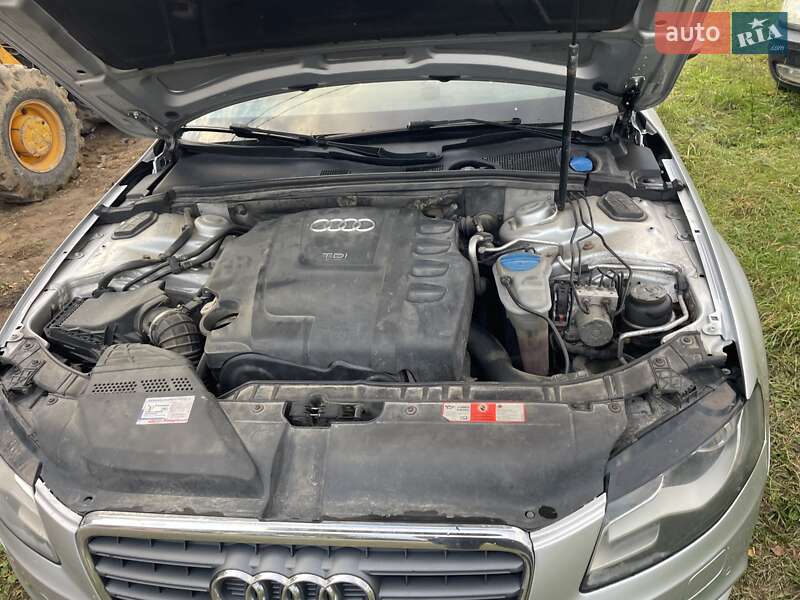 Універсал Audi A4 2009 в Львові