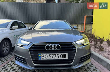Универсал Audi A4 2016 в Тернополе