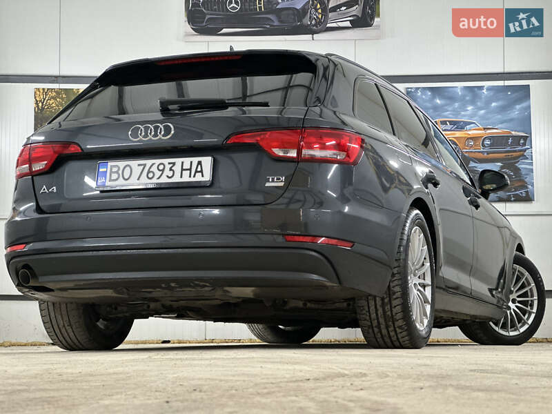 Универсал Audi A4 2016 в Дрогобыче