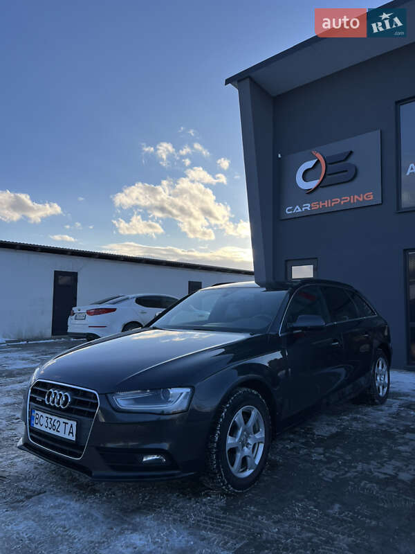 2014 Audi A4, VIN WAUZZZ8K6FA033978:plate — фото 1 (autoria)