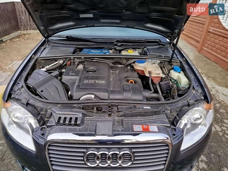Универсал Audi A4 2005 в Житомире