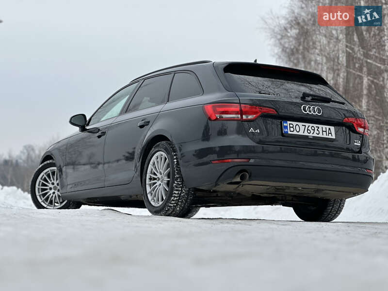 Універсал Audi A4 2016 в Дрогобичі