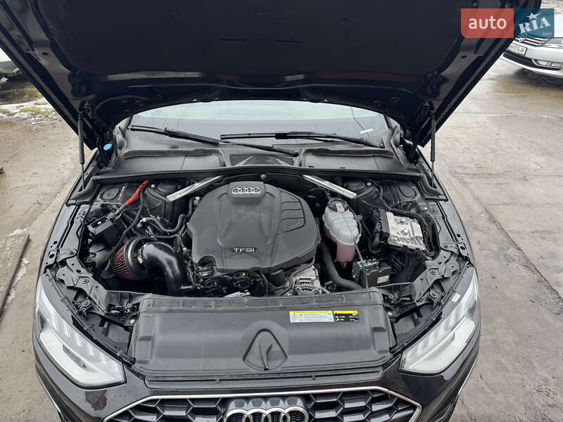 2020 Audi A4, VIN WAUENAF49LN005208:plate — фото 1 (autoria)