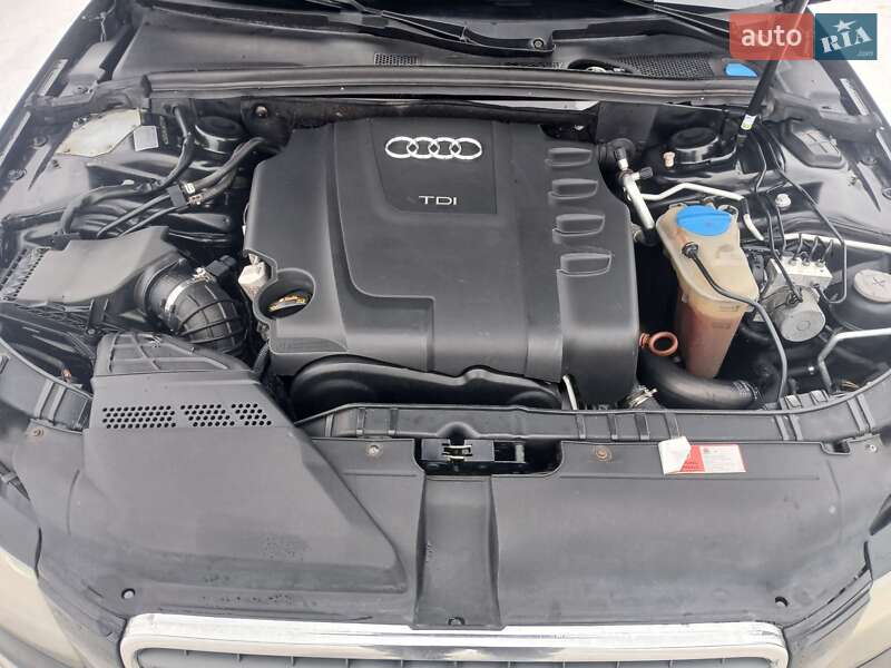 Универсал Audi A4 2008 в Бердичеве