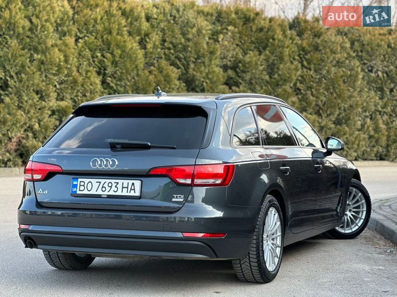 Универсал Audi A4 2016 в Дрогобыче
