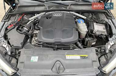 Универсал Audi A4 2017 в Бердичеве