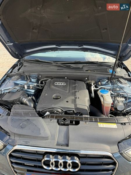 Седан Audi A4 2014 в Луцьку фото 41 Седан Audi A4 2014 в Луцьку