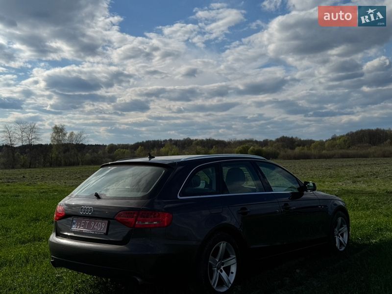 Универсал Audi A4 2009 в Луцке