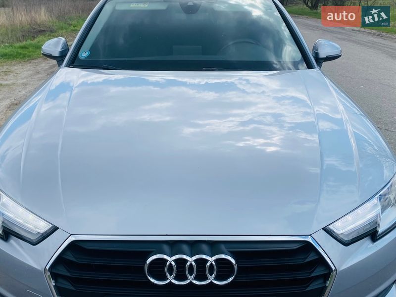 2017 Audi A4, VIN WAUZZZF44HA164849:plate — фото 1 (autoria)