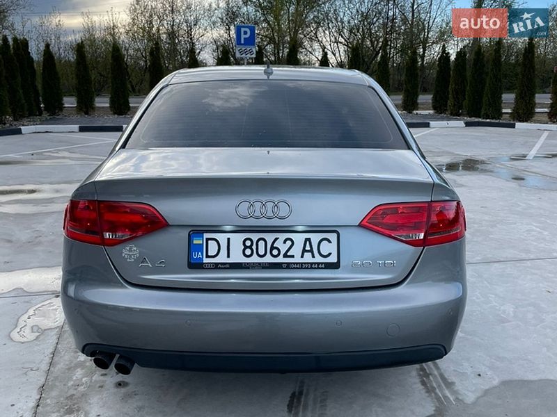 Седан Audi A4 2008 в Звягеле