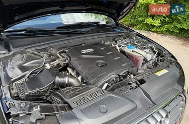 Седан Audi A4 2014 в Лубнах фото 60 Седан Audi A4 2014 в Лубнах