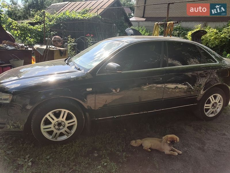 Седан Audi A4 2005 в Краснограде