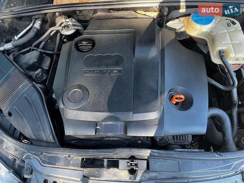 Универсал Audi A4 2005 в Житомире фото 3 Универсал Audi A4 2005 в Житомире