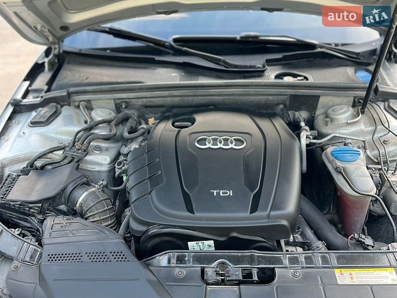 Универсал Audi A4 2012 в Звягеле