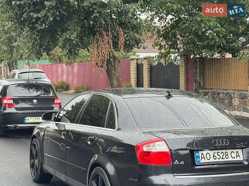 Седан Audi A4 2000 в Звягелі