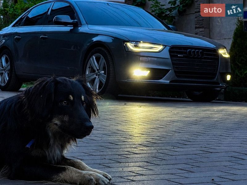 Audi A4 2014