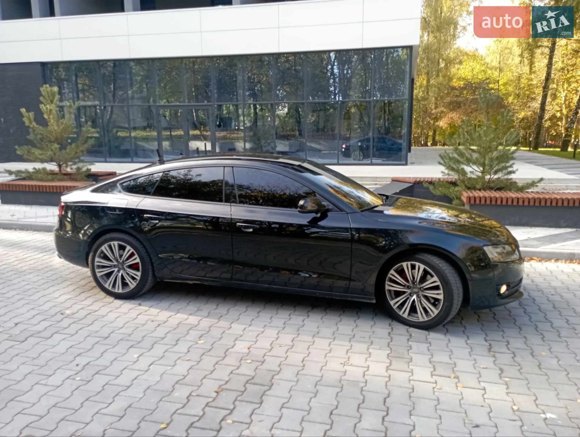 2011 Audi A5 - мініатюра 3