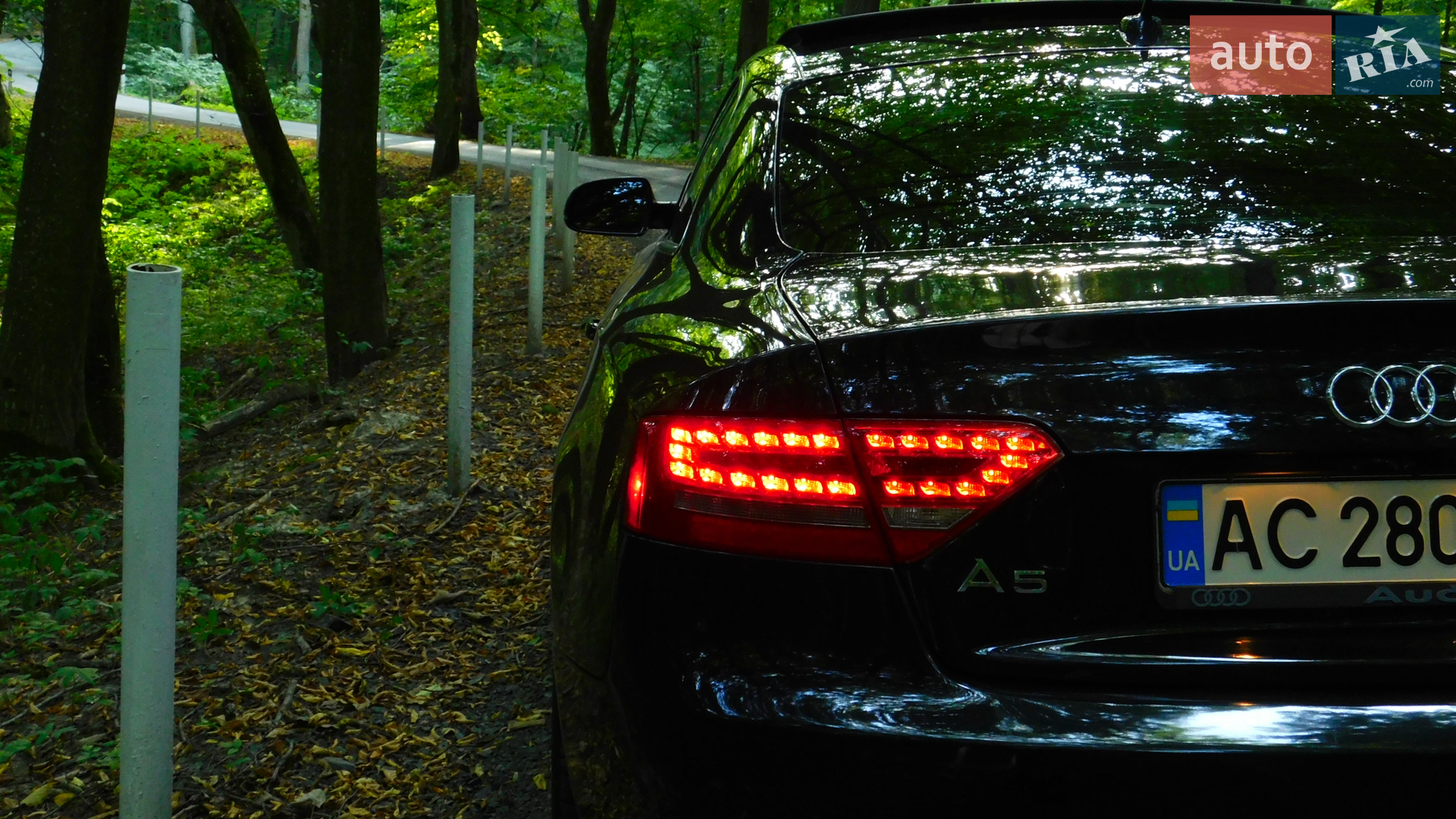 2010 Audi A5 - мініатюра 12