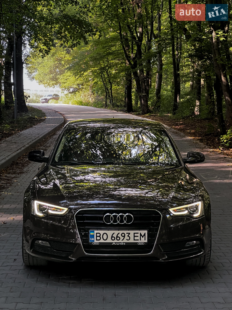 2012 Audi A5 - мініатюра 14