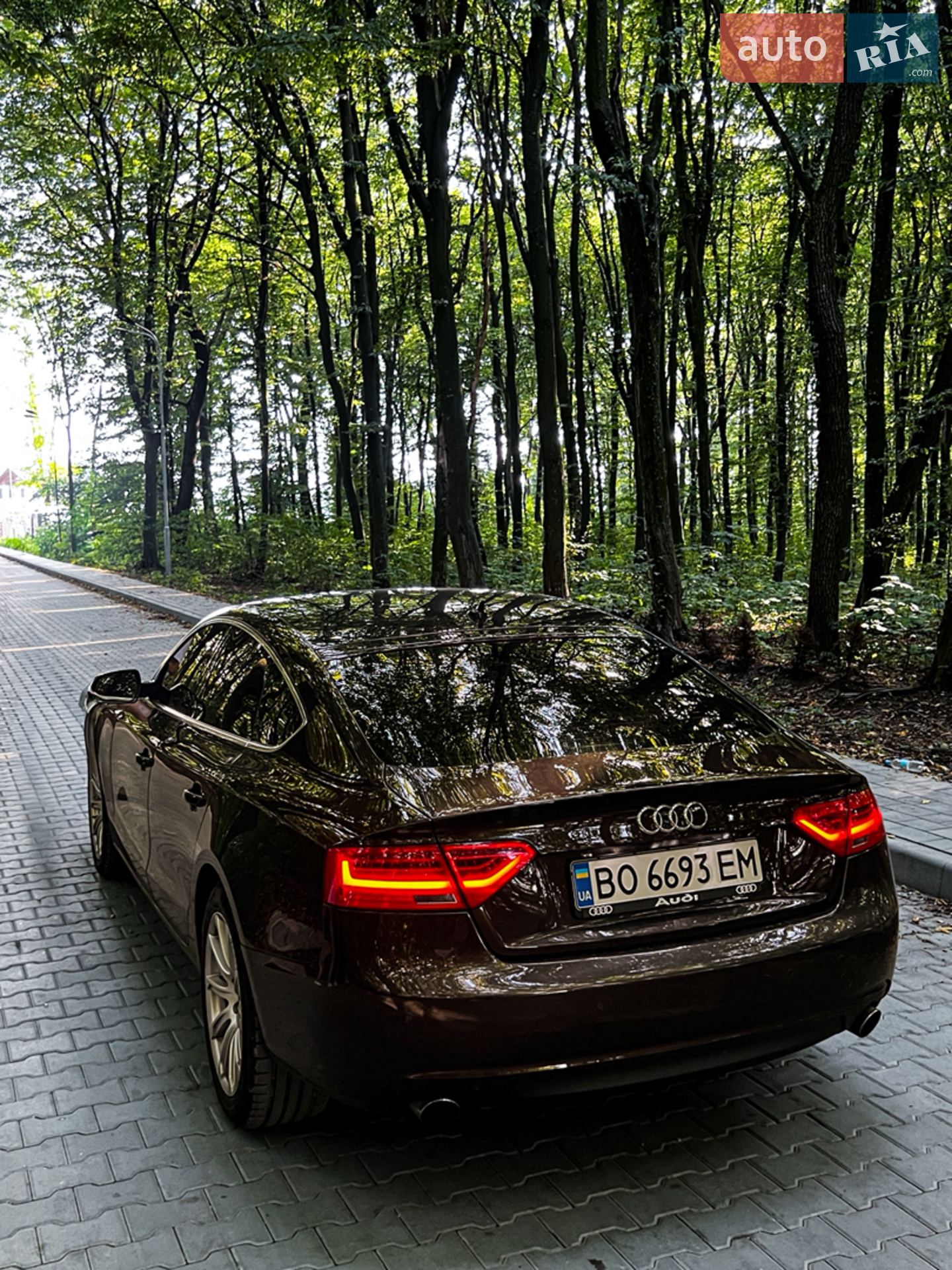 2013 Audi A5 - мініатюра 10