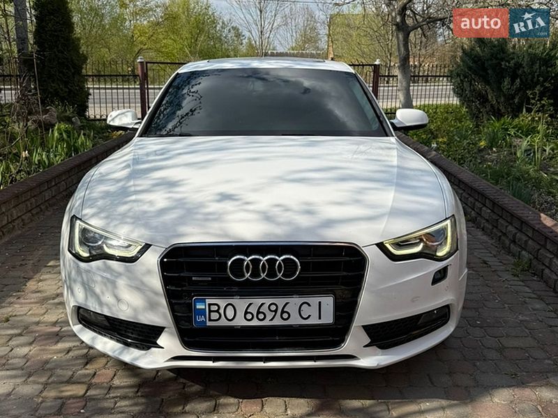2014 Audi A5, VIN WAUZZZ8T4FA013494:plate — фото 1 (autoria)