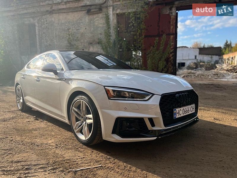 2019 Audi A5, VIN WAUANCF57KA044405:plate — фото 1 (autoria)