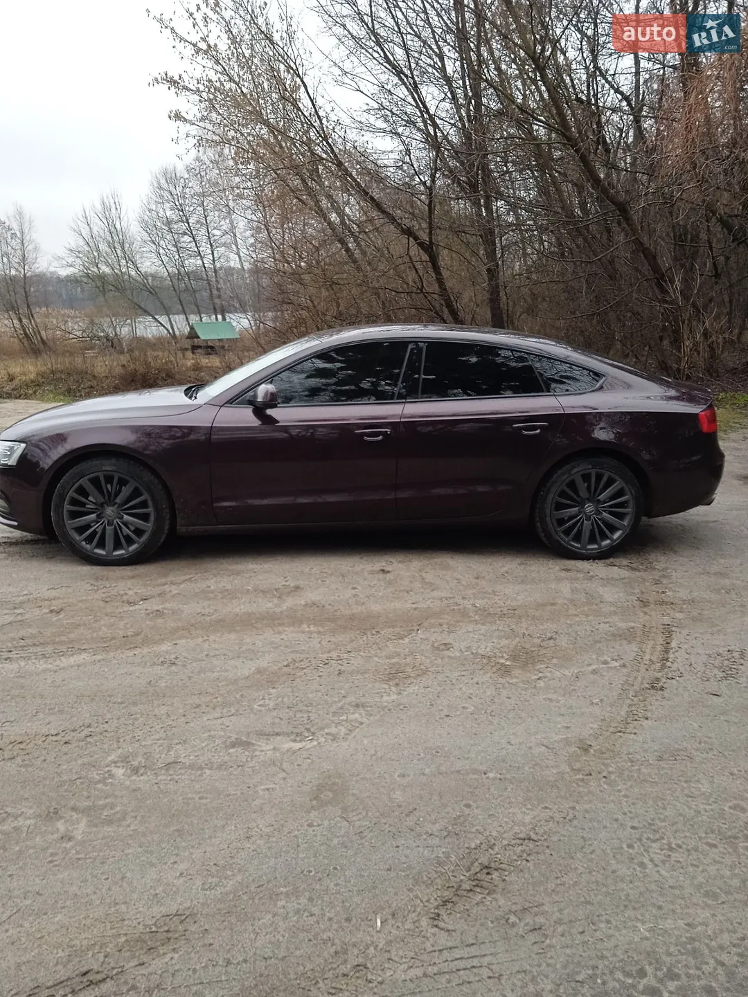 2011 Audi A5 - мініатюра 4