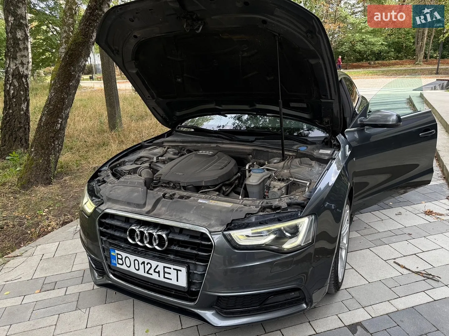 2014 Audi A5 - мініатюра 36