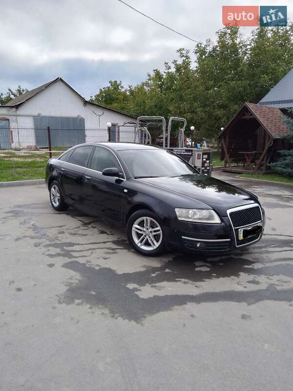 2006 Audi A6, VIN WAUZZZ4F37N068660:plate — zdjęcie 1 (autoria)