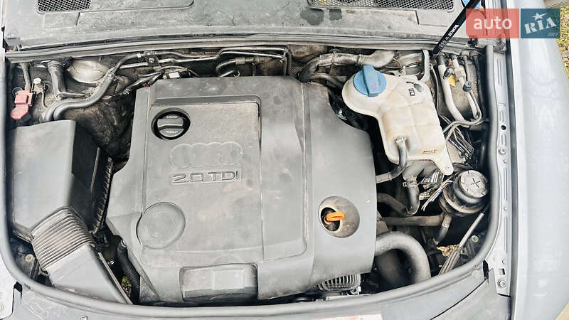Універсал Audi A6 2008 в Олевську