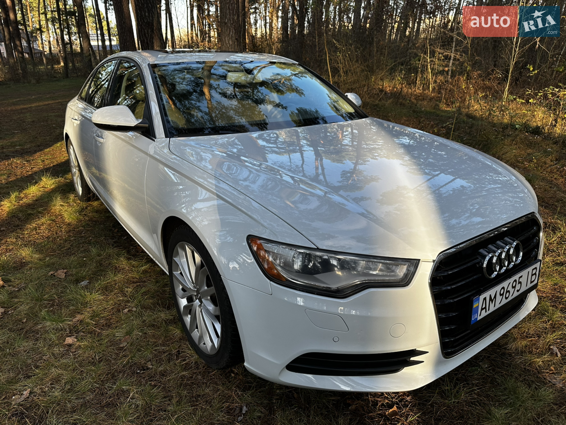 2013 Audi A6 - мініатюра 8