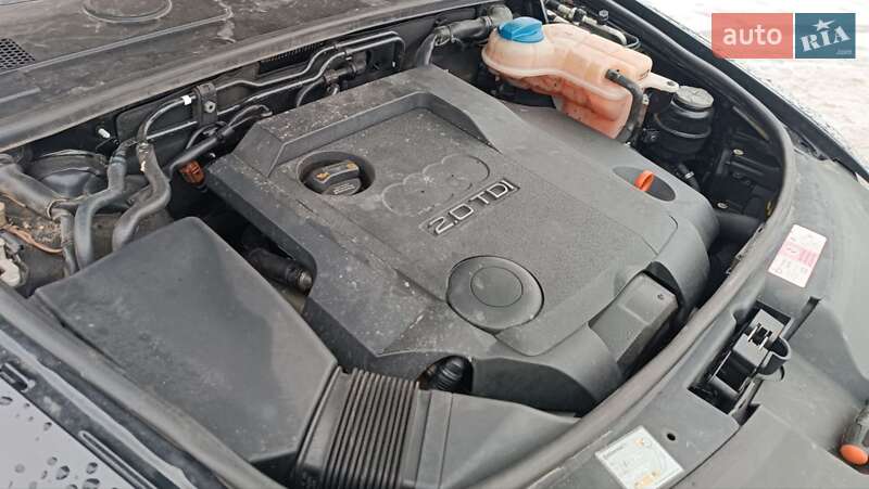 Универсал Audi A6 2008 в Сарнах фото 65 Универсал Audi A6 2008 в Сарнах