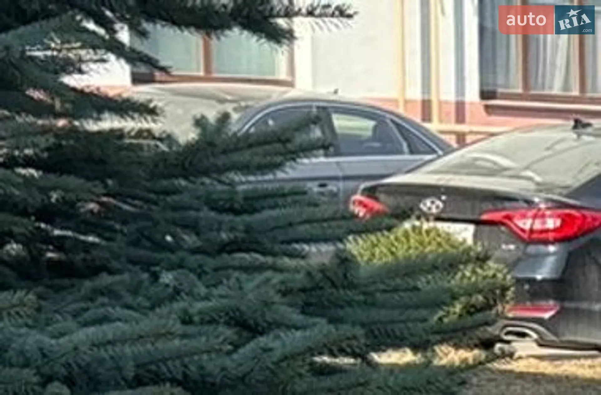 2019 Audi A6 - фото 1